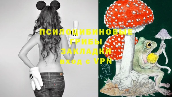 МДПВ Белокуриха