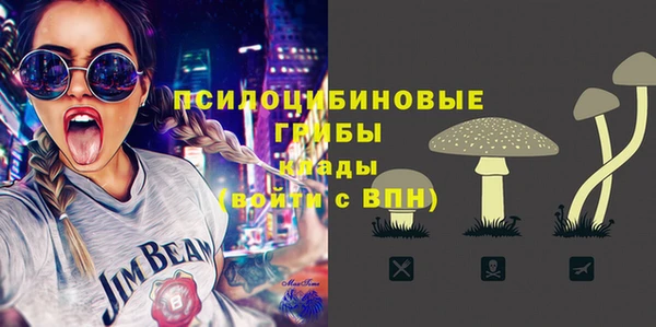 МДПВ Белокуриха