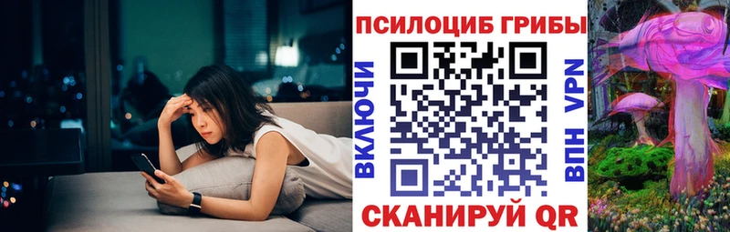Псилоцибиновые грибы Cubensis  Вяземский 